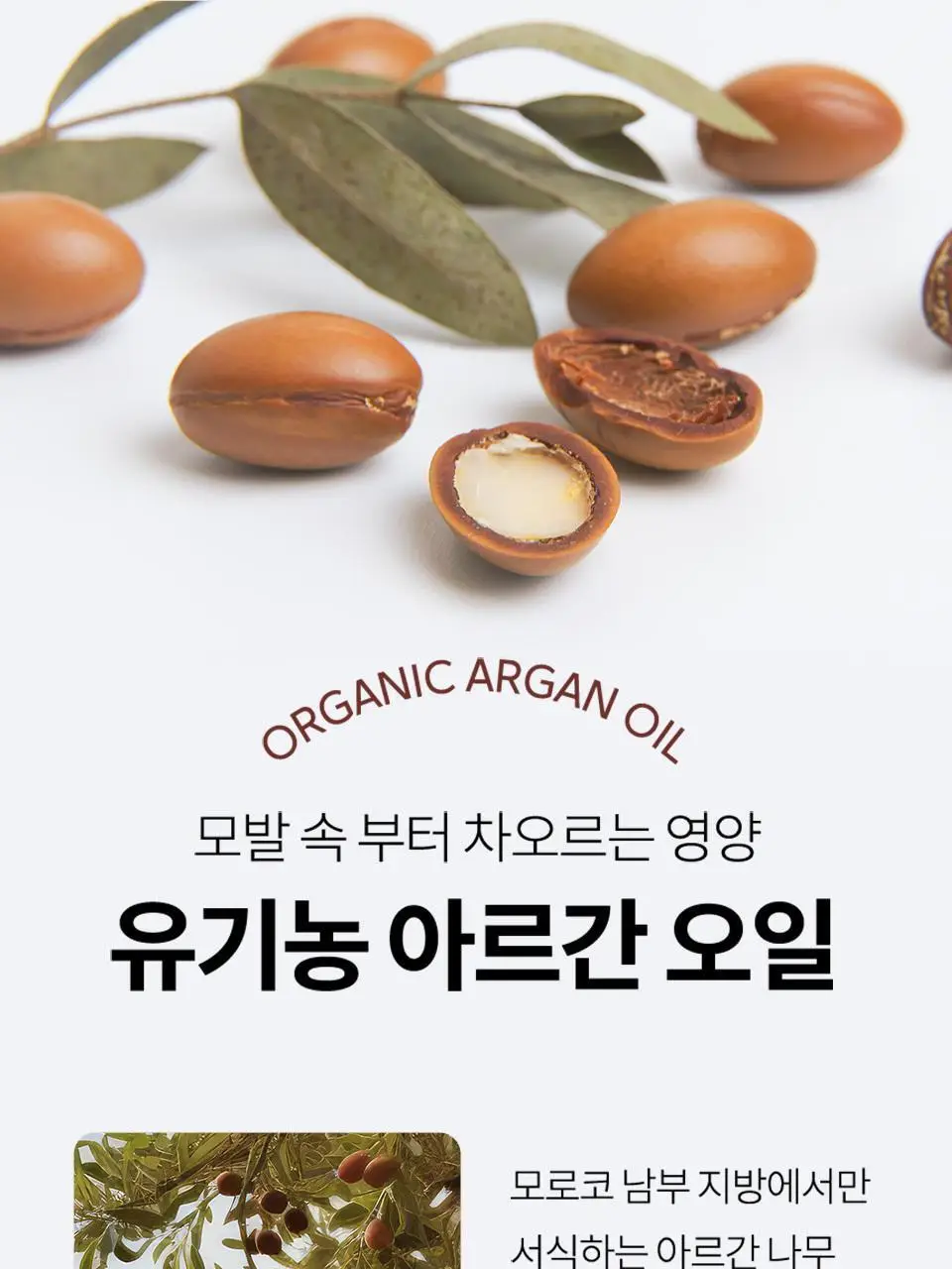 [NEW/퍼퓸오일] 라입 R3 아르간 헤어 오일 100ml 5종 상세페이지 28